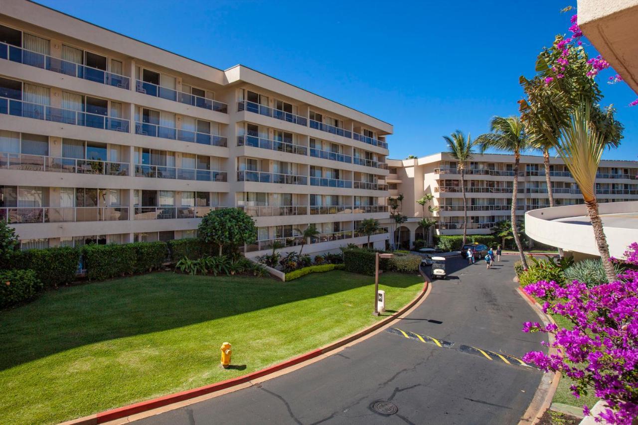 Maui Banyan H311 1Bd 2Ba 3 Min Walk To The Beach In The Heart Of South Kihei! Wailea  Zewnętrze zdjęcie