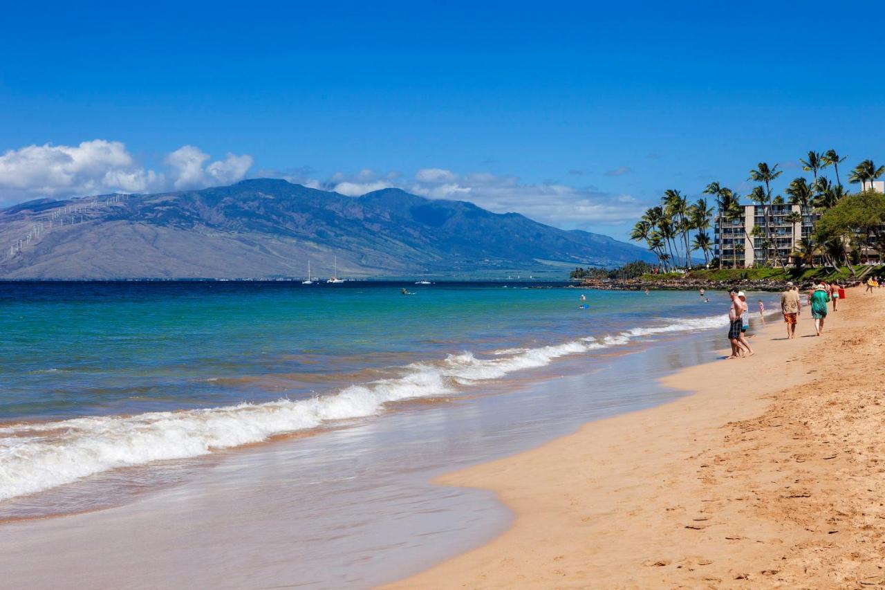 Maui Banyan H311 1Bd 2Ba 3 Min Walk To The Beach In The Heart Of South Kihei! Wailea  Zewnętrze zdjęcie